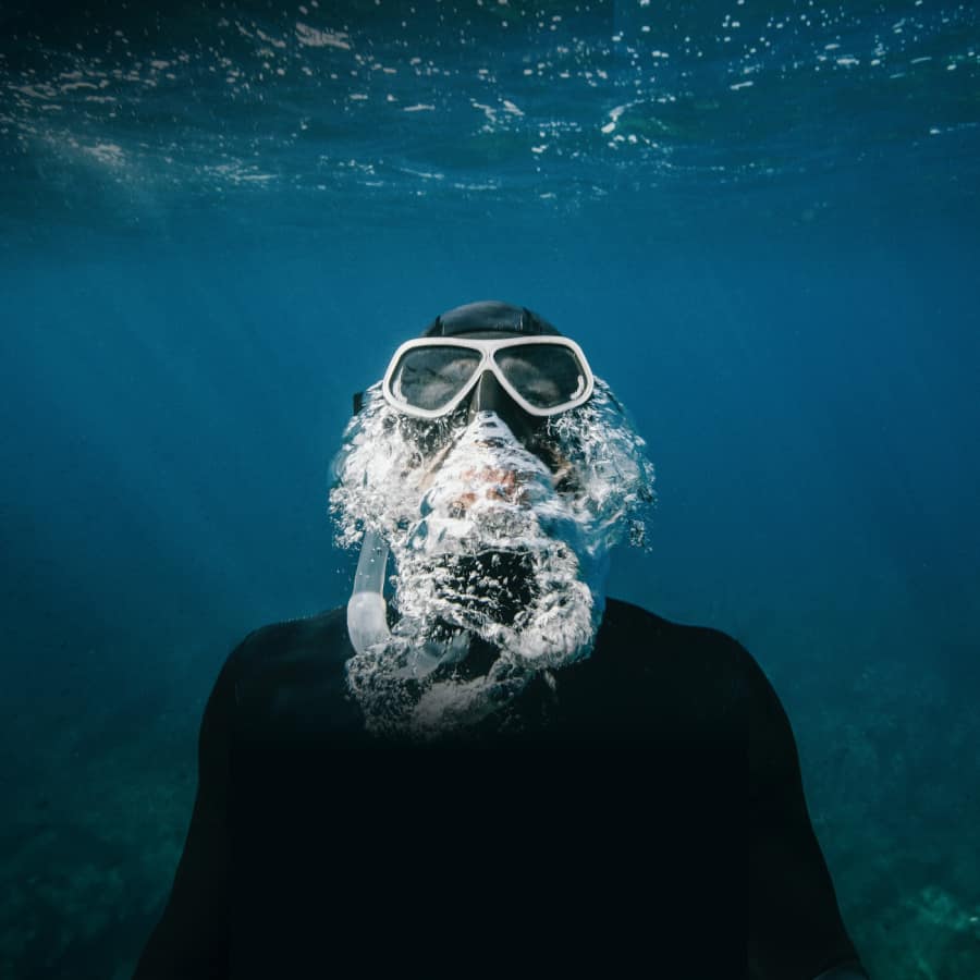 Immersion Diving Club & Resort — brand identity