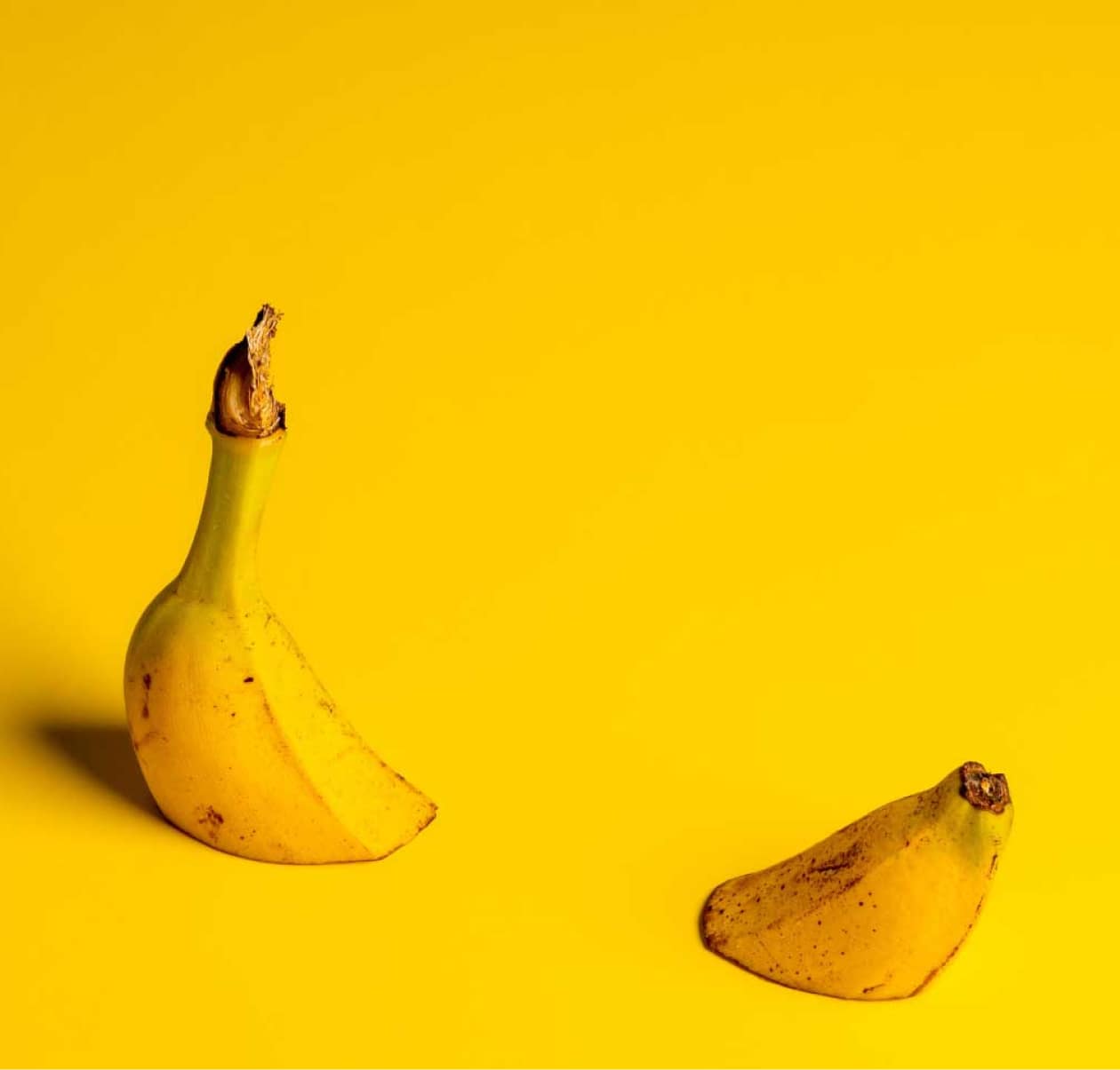 Why do brands fail? — insights article