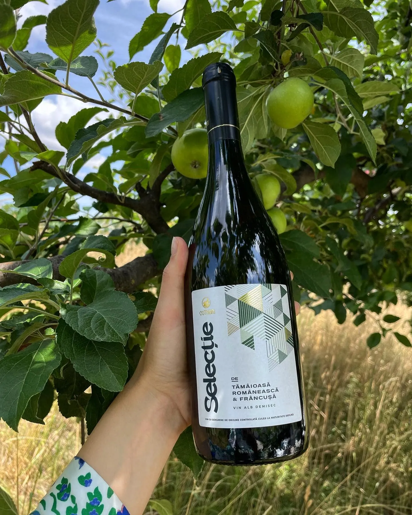 Selecție by Cotnari — outdoor brand setting