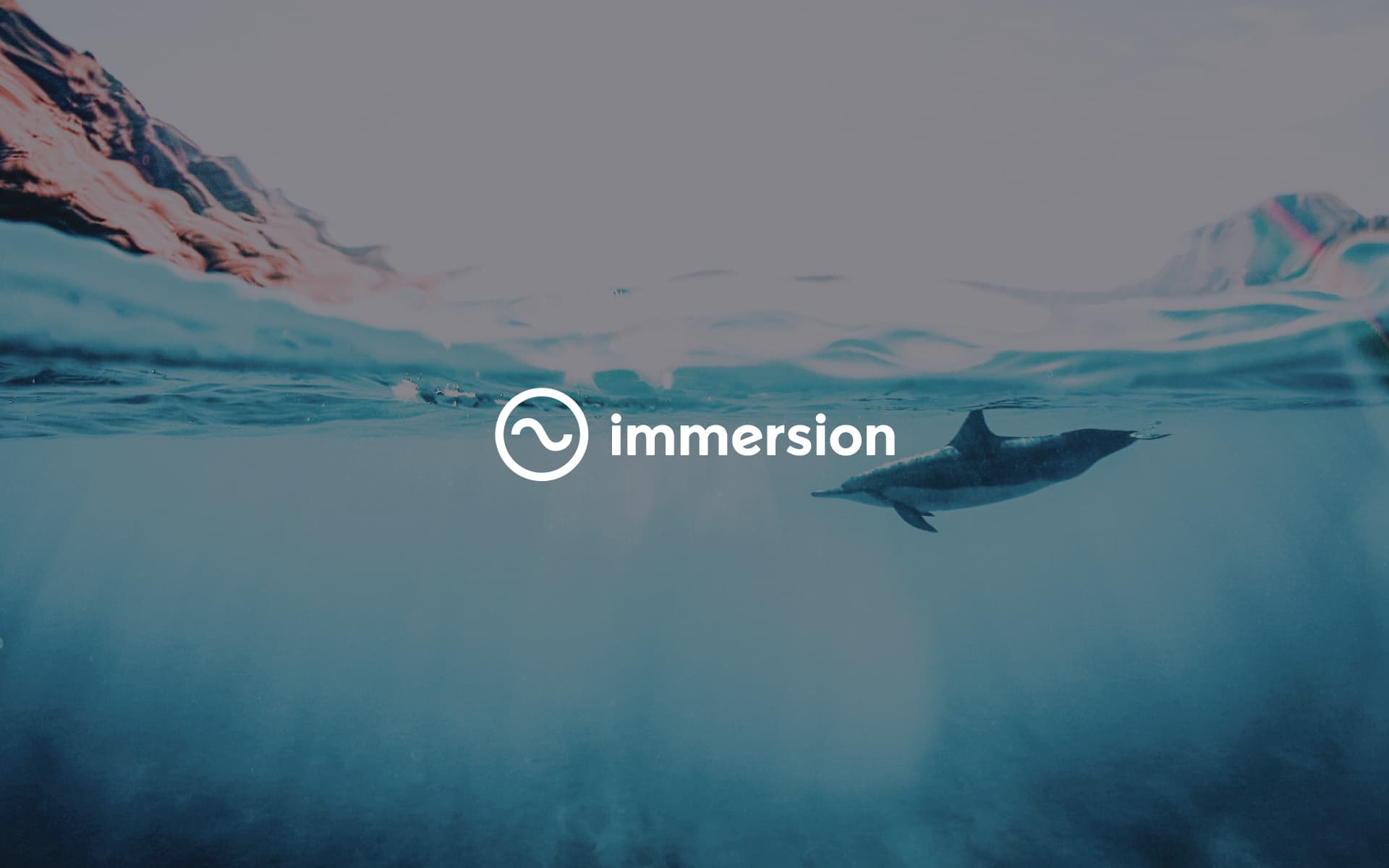 Immersion logo — dolphin mark exploration
