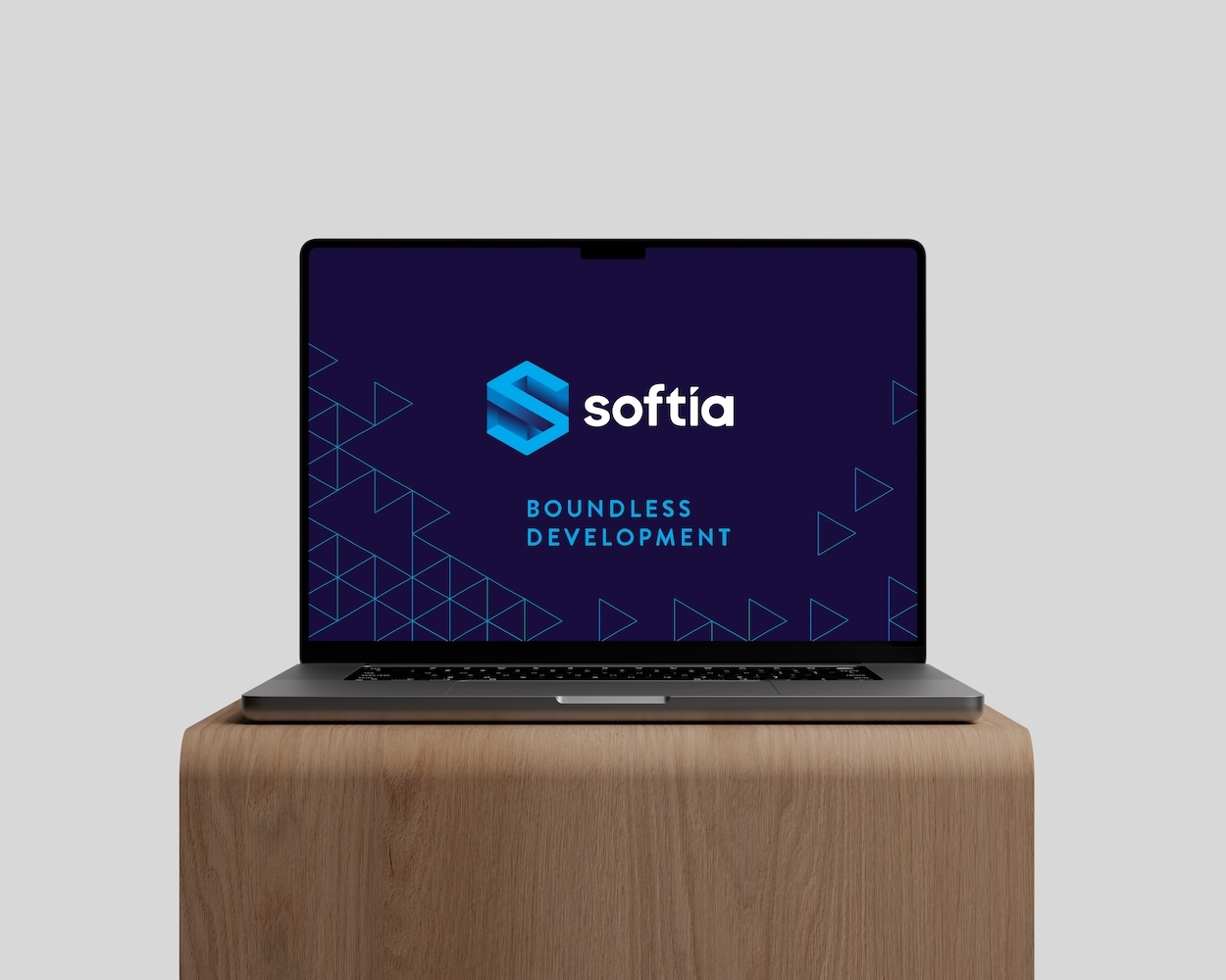 Softia visual identity system
